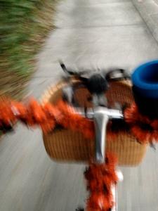 969319 251087155039525 668753159 n