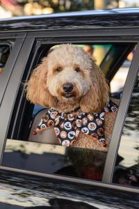 11225283 10207358915038343 2422149108133103134 o