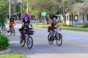 11698919 10207358949799212 3148576942623653624 o