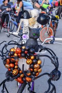 12185276 10207358924758586 5192112065968354663 o