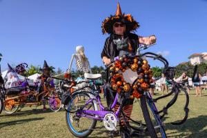 12191210 10207358990080219 5236314896415329841 o