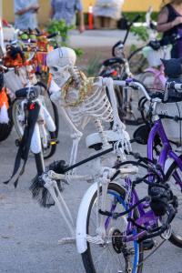 1890478 10207358923398552 6402289485842282833 o