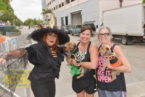 14853155 10210149004948847 5926684074760673011 o