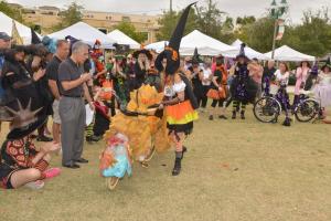 14876636 10210149048269930 2963621098499458956 o