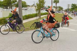 14917089 10210149022909296 1441985512229217888 o