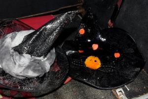 44583384 10212839149600022 2154611996631236608 n