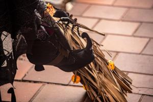 74446377 10215372278926672 1076601056743391232 n