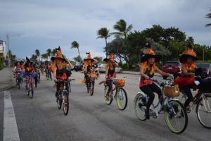 72801207 1431750123639883 7371331144672870400 n