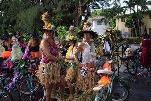 74337057 1431752620306300 883064972777619456 n