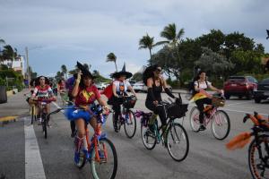 75303701 1431750170306545 1706773780992360448 n