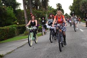 75305535 1431750766973152 3960815133814423552 n