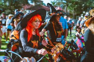 251825334 2070527713095451 4453963102000555843 n 2070527709762118