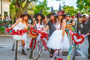 252258585 2070528739762015 5757113517282415724 n 2070528733095349