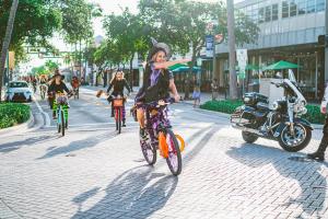 252479113 2070528976428658 5873887997813441085 n 2070528969761992