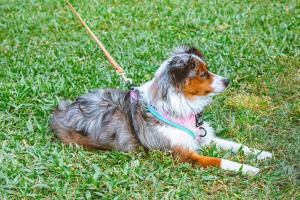 252524682 2070529406428615 2038602864802729399 n 2070529399761949