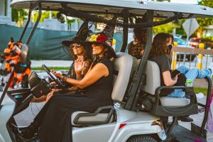 252712748 2070525363095686 1924548995730443292 n 2070525356429020