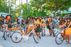 252763373 2070529153095307 8503748197518666021 n 2070529143095308