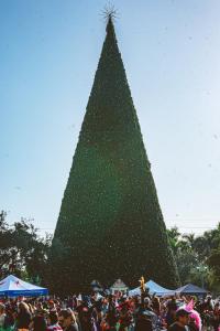 253061356 2070527283095494 8960977943617978932 n 2070527279762161