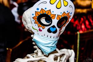 245632854 10220478897908955 1657302294298887992 n