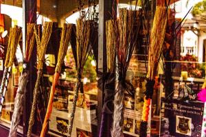 245701159 10220478972070809 7120065886525184853 n