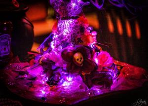 246596914 10220478987711200 1791738497886324434 n