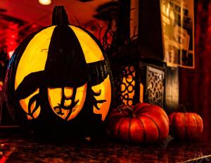 247173950 10220478984151111 8965026677474001965 n