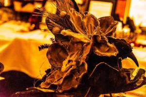 247852311 10220478953910355 7612189617368291244 n