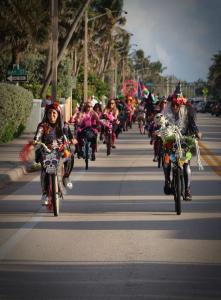 311959296 10160270486738112 8695410520412772621 n