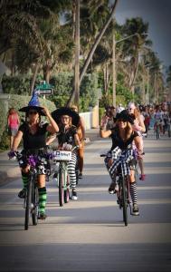 312045809 10160270486613112 7267689066698875043 n