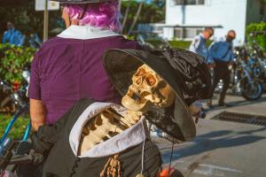 312057396 2362963653851854 7877055677815982718 n