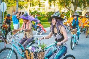 312715467 2362962887185264 7870817470235702055 n