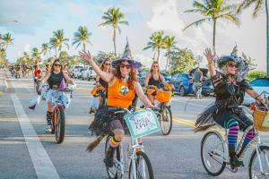 313006096 2362963787185174 8390970063184332540 n