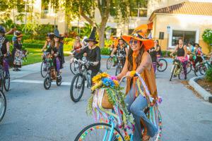 313413139 2362963037185249 3392608202858380736 n