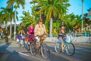 313413949 2362963633851856 8368970475675291107 n