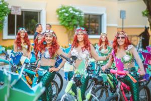 313414155 2362962360518650 8963829252975087951 n