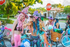 313414674 2362962570518629 7734497091331684017 n