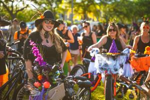 313422860 2362963840518502 423148791629609502 n