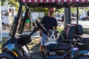 312366657 10222230928108615 1853151473065086372 n