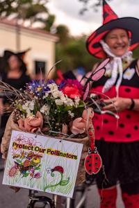 312546275 10222230920148416 651048832865755715 n