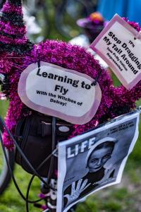 313199989 10222230928348621 8426710534227364876 n