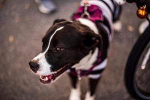 313414450 10222230934028763 7219452781587957689 n