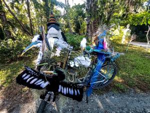 313421772 10222230917748356 1907861755738599591 n