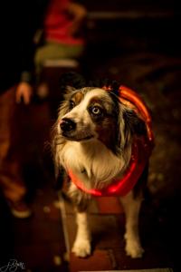 305030415 10222139996795389 3814533898781834051 n