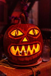 312319264 10222139892472781 2232791135214654586 n