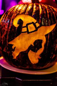 312598395 10222139950874241 7603338488883722427 n