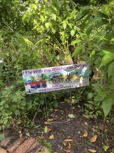 387815733 708034258021201 7668974697848144148 n