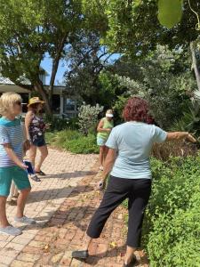 391472202 708034294687864 7893973832812848737 n