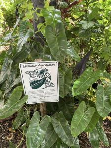 391493876 708034068021220 8089120605331053767 n