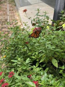 391548068 708033971354563 3509616425198233772 n