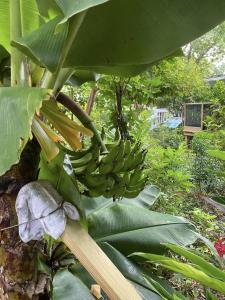 391552343 708034001354560 4218653986851228282 n